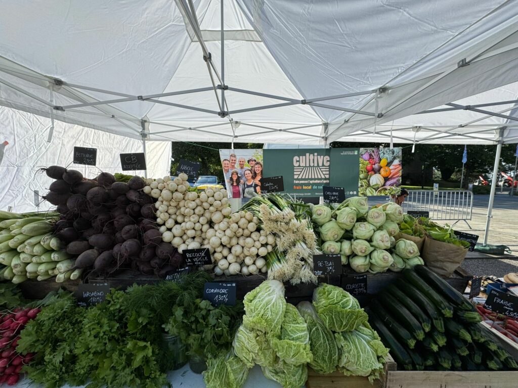 Marché de Montaigu