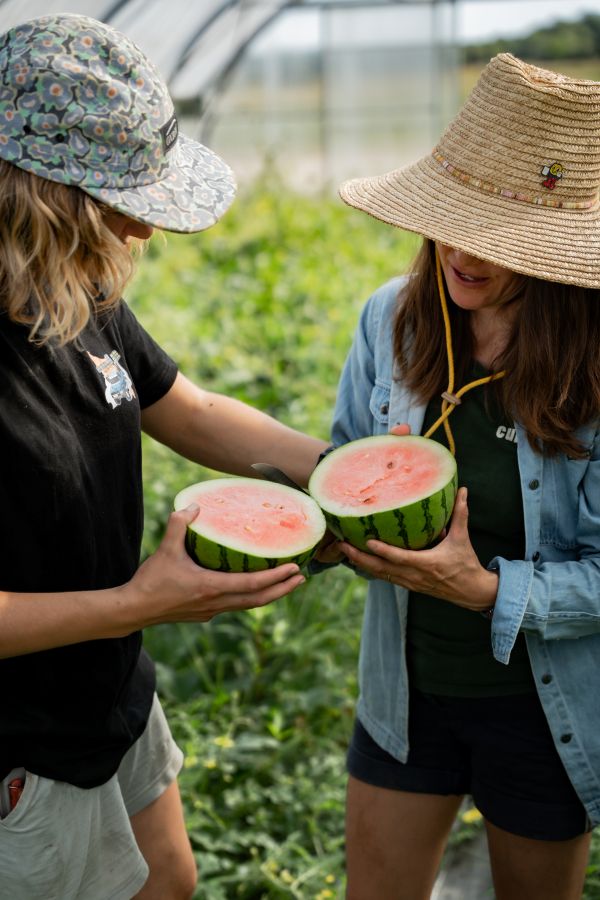 Consommation locale : le lien entre les consommateurs et les producteurs maraîchers